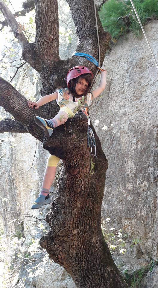 grimpette dans l'arbre.jpg